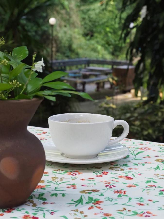 Chomklong Experience Bed & Breakfast Pakchong Exterior photo